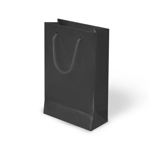 İp Saplı Karton Çanta 17x24x7 cm 24 Adet ürün görseli 1