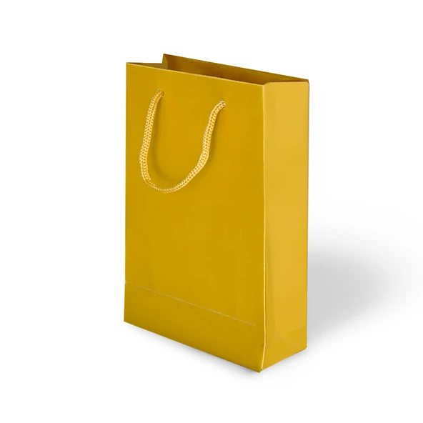 İp Saplı Karton Çanta 17x24x7 cm 24 Adet ürün görseli 1
