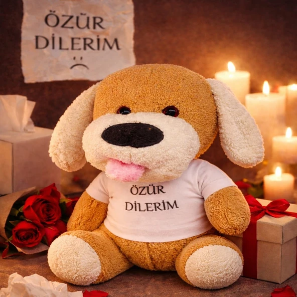 Özür Dilerim Tişörtlü Peluş Oyuncak Köpek ürün görseli 1