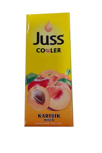 levent JUSSKarışık Meyveli Içecek 200 Ml*(27 Adet) ürün görseli 1