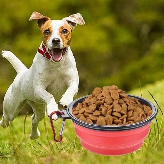 Katlanabilir Kedi Köpek Mama ve Su Kabı Köpek Oyuncağı ürün görseli 1