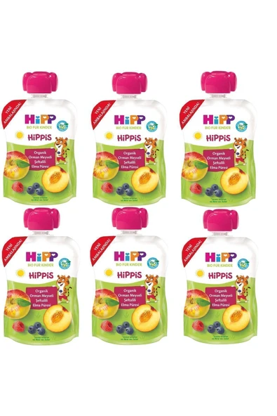 Hipp Organik Orman Meyveli Şeftalili Elma Püresi 100gr X 6adet ürün görseli 1