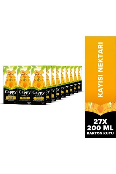 Cappy Bahçe Kayısılı Meyve Suyu Karton Kutu 200 Ml ( 27 ADET ) ürün görseli 1