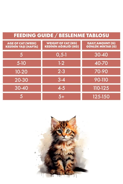 Pro Performance Kitten Salmon & Rice 2 Kg - Resim 4