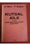 KUTSAL AİLE  ya da ELEŞTİREL ELEŞTİRİNİN ELEŞTİRİSİ  /  Birinci Baskı ürün görseli 1