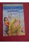 NOTRE DAME'IN KAMBURU • (Çocuklar için) ürün görseli 1