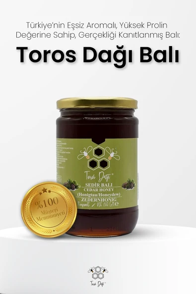 Toros Dağı Sedir Balı 860 gr - Resim 2