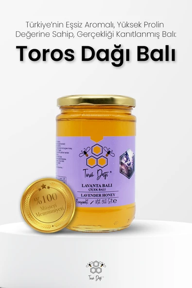 Toros Dağı Lavanta Balı 860 gr - Resim 2