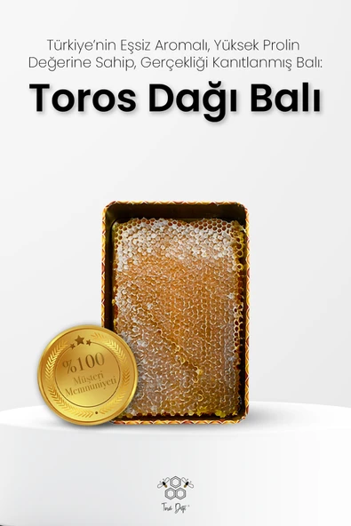 Toros Dağı Petekli Bal 1 Kg - Resim 2