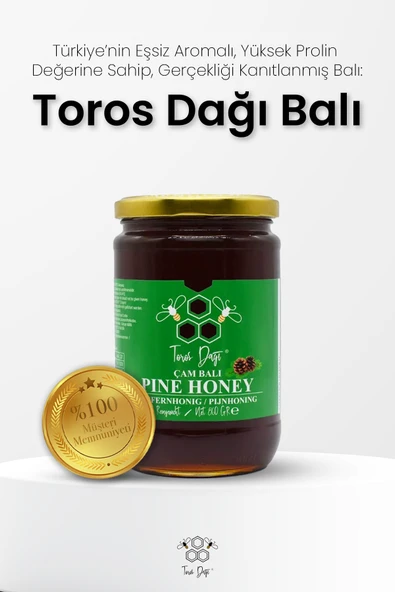 Toros Dağı Çam Balı 860 gr - Resim 2