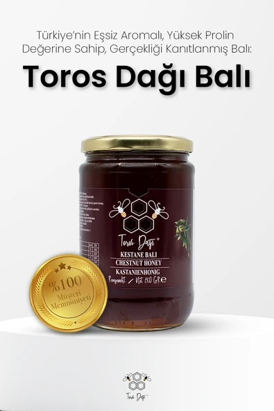 Toros Dağı Kestane Balı 860 gr - Resim 2