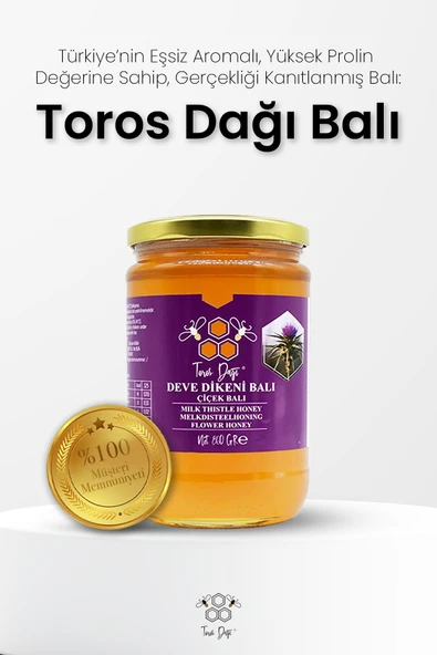 Toros Dağı Deve Dikeni Balı 860 gr - Resim 2