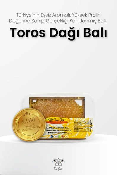 Toros Dağı Karakovan Balı 400 gr - Resim 3