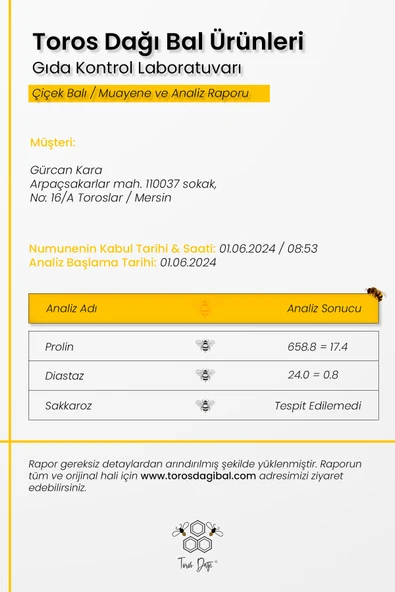 Toros Dağı Süzme Çiçek Balı 480 gr - Resim 4
