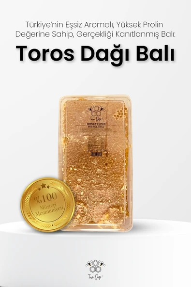 Toros Dağı Petekli Bal 750 gr - Resim 2