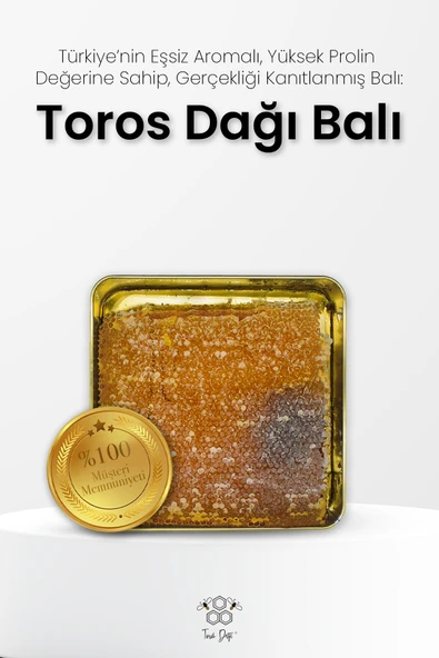 Toros Dağı Petekli Bal 1,5 Kg - Resim 2