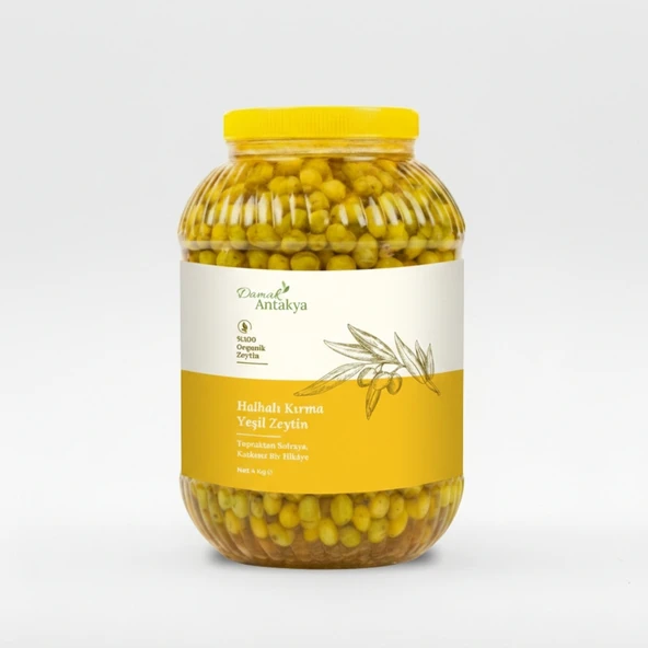 Damak Antakya Halhalı Kırma Yeşil Zeytin (5 Lt Bidon) ürün görseli 1