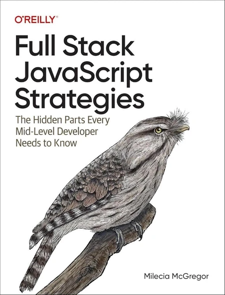 Full Stack JavaScript Strategies: The Hidden Parts Every Mid-Level Developer Needs to Know Milecia McGregor ürün görseli 1