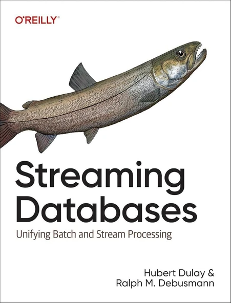 Streaming Databases: Unifying Batch and Stream Processing Dulay Debusmann ürün görseli 1