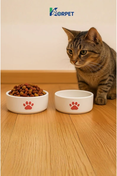 KorPet 2li Seramik Kedi köpek mama su kabı (ödül maması kabı) 8cm Beyaz ürün görseli 1