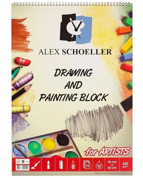 Alex Schoeller Dokulu Resim Defteri Spiralli 220 Gr 35x50 ALX 298 ürün görseli 1
