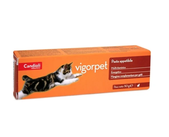 Vigorpet Cat Pasta 50 g - Kediler İçin Enerji Veren, İştah Açıcı ve Güçlendirici Macun ürün görseli 1