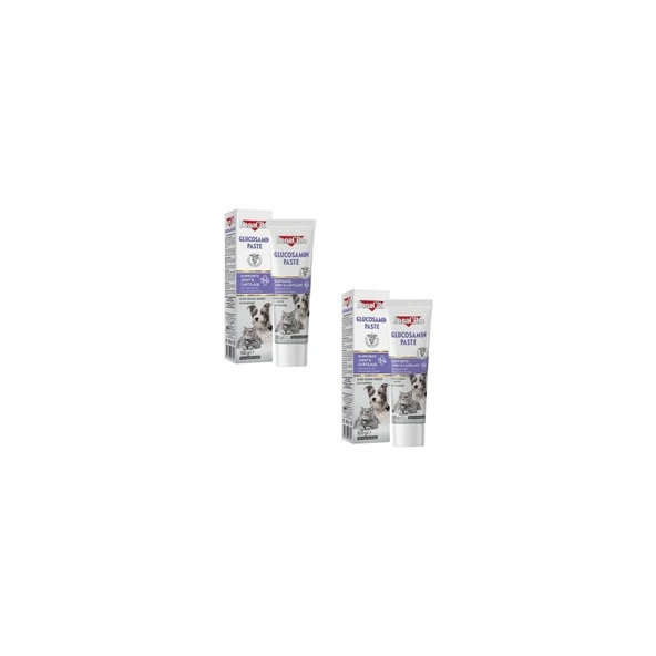 Bonacibo 2'li Glucosamine Paste: Kedi ve Köpek Için Eklem ve Kıkırdak Güçlendirici Macun (2 x 100G) ürün görseli 1
