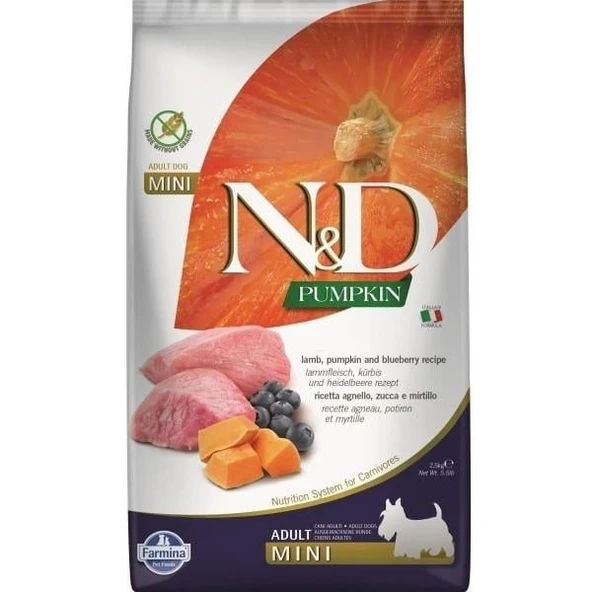 N&D Pumpkin Kuzu Etli Balkabaklı ve Yaban Mersinli 2.5 kg Küçük Irk Yetişkin Köpek Maması ürün görseli 1