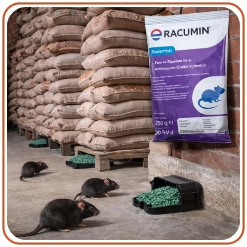 Bayer-Envu Racumin Buğday Fare Zehiri | 250 Gram - Resim 5