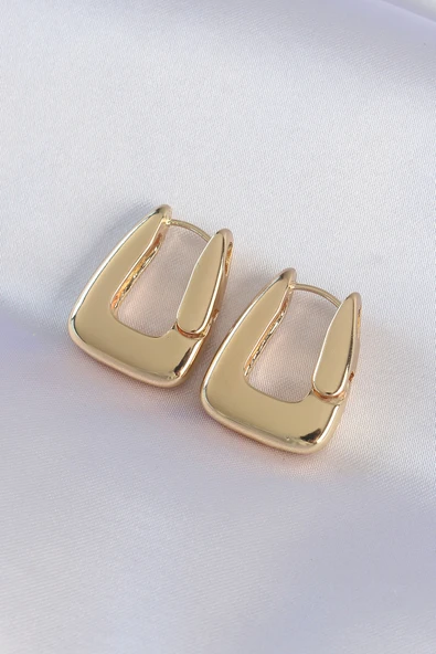 Pirinç Kalın Küpe (Gold Renk) ürün görseli 1