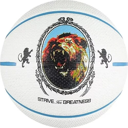 Nike N.100.4372.086.07 Playground 2.0 8P L James Deflated Unisex Basketbol Topu ürün görseli 1