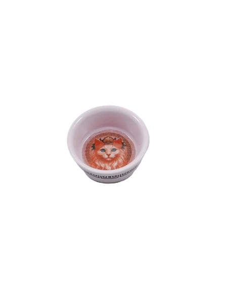 Vetcopet Raccoon Olimpos Afrodit Seramik Kedi Mama Su Kabı 300 ml ürün görseli 1