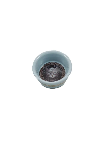 Vetcopet Raccoon Olimpos Athena Seramik Kedi Mama Su Kabı 300 ml ürün görseli 1