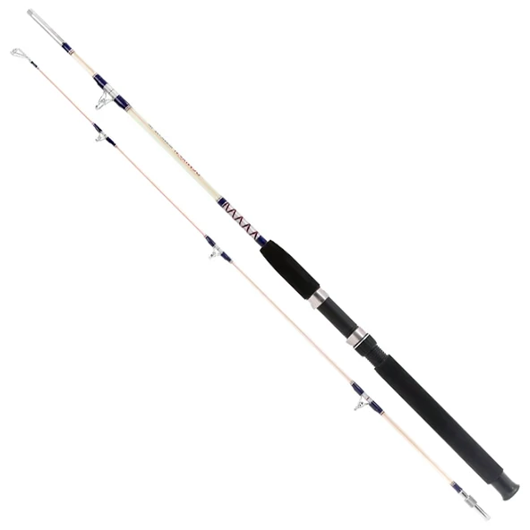 Remixon Hurricane 165 cm 20-40lbs Aksiyonlu Tekne Kamışı ürün görseli 1