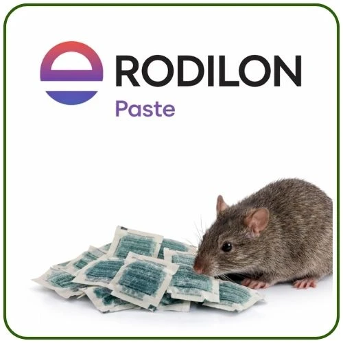 Bayer-Envu Rodilon Pasta Fare Zehiri  | 1 Kg ürün görseli 1
