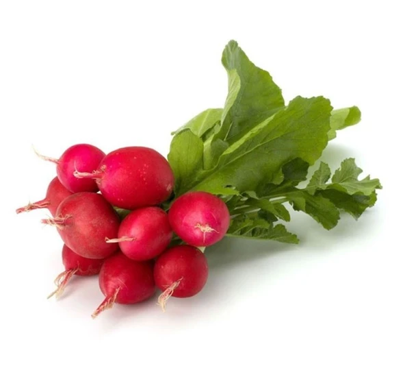 TURP FINDIK ( ÇOKLU TOHUM ) - 5 Gram ürün görseli 1