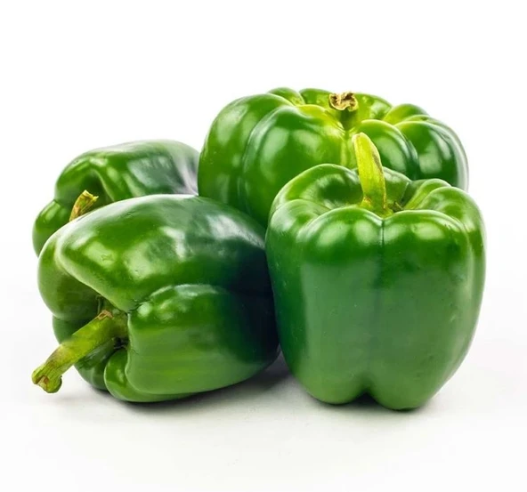 DOLMA BİBER KANDİL ( ÇOKLU TOHUM ) - 5 Gram ürün görseli 1