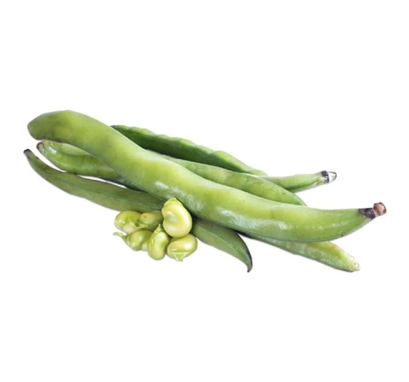 BAKLA ( ÇOKLU TOHUM ) - 50 Gram ürün görseli 1