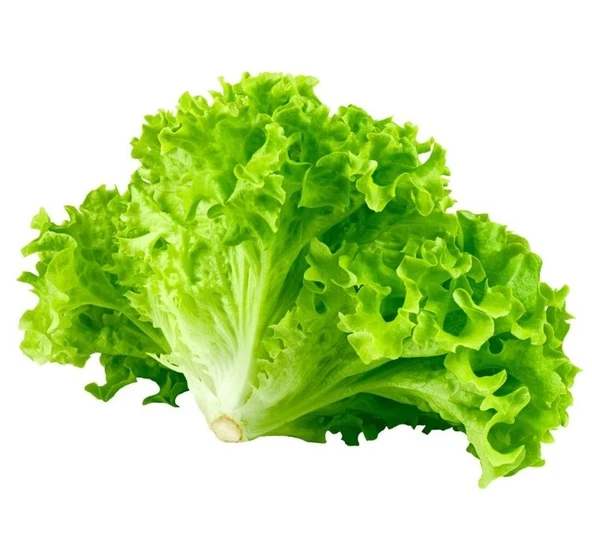 KIVIRCIK MARUL ( ÇOKLU TOHUM ) - 5 Gram ürün görseli 1