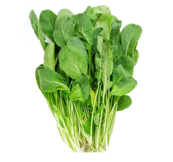 ROKA GENİŞ YAPRAK ( ÇOKLU TOHUM ) - 10 Gram ürün görseli 1