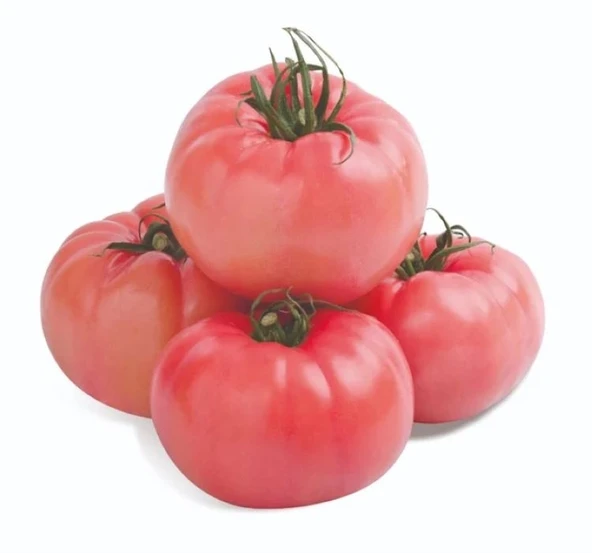 DOMATES PEMBE ( ÇOKLU TOHUM ) - 100 Adet ürün görseli 1