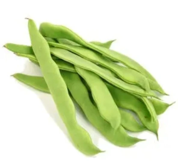 FASULYE ROMANO OTURAK ( ÇOKLU TOHUM ) - 25 Gram ürün görseli 1