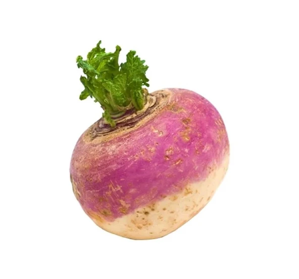 ŞALGAM ( ÇOKLU TOHUM ) - 5 Gram ürün görseli 1