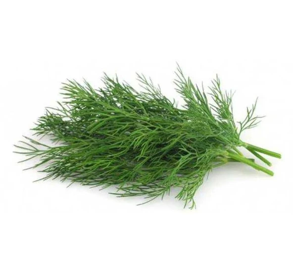 DEREOTU KOKULU ( ÇOKLU TOHUM ) - 5 Gram ürün görseli 1