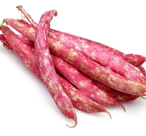 BARBUNYA ( ÇOKLU TOHUM ) - 25 Gram ürün görseli 1