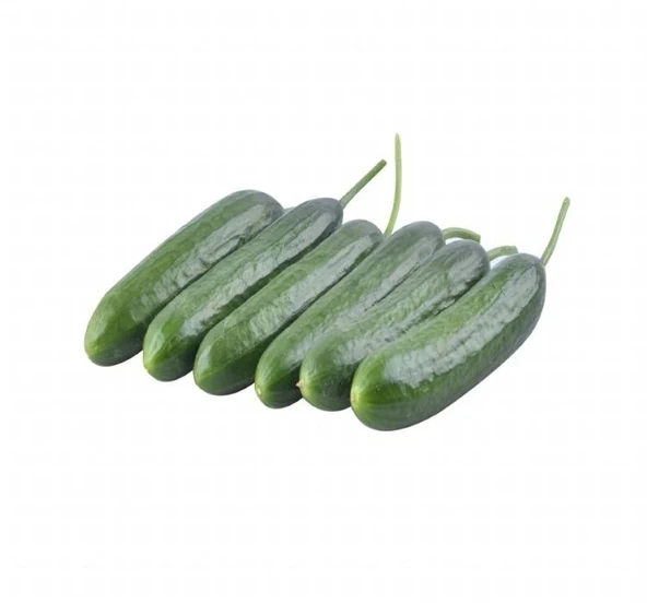 SALATALIK BEITH ALPHA ( ÇOKLU TOHUM ) - 5 Gram ürün görseli 1