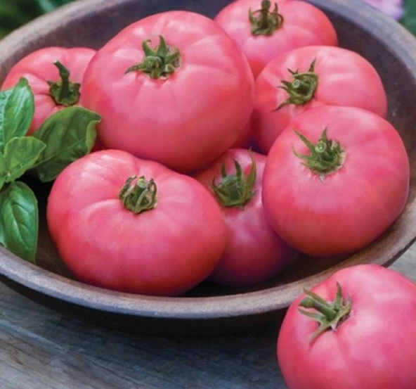 DOMATES PEMBE ( ÇOKLU TOHUM ) - 100 Adet - Resim 2