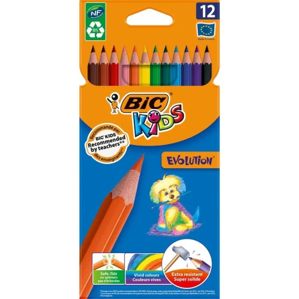 Bic Kuru Boya Evoltion Karton Kutu 12 Lİ 829029 ürün görseli 1