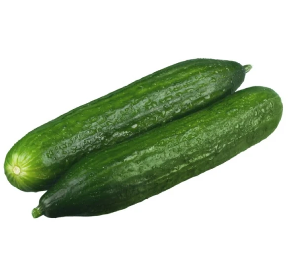SALATALIK BEITH ALPHA İTHAL ( ÇOKLU TOHUM ) - 5 Gram ürün görseli 1