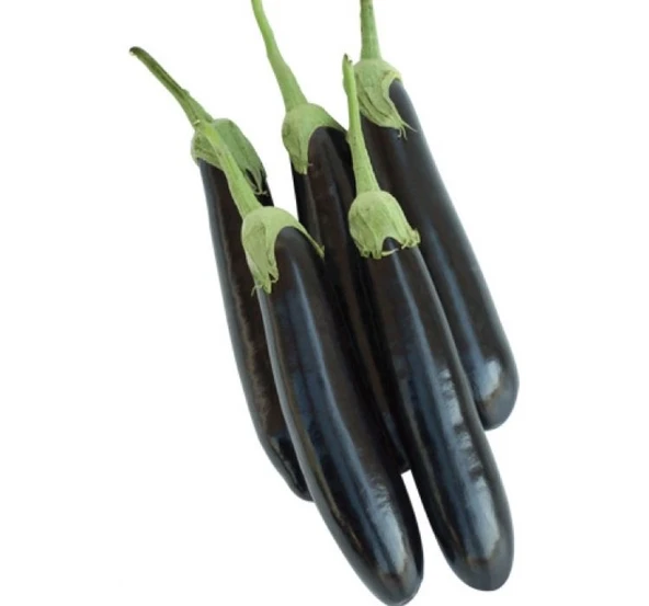 PATLICAN AYDIN SİYAH ( ÇOKLU TOHUM ) - 5 Gram ürün görseli 1